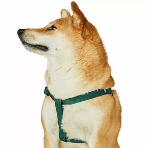 Blueberry Pet Classic Dog Green Harness